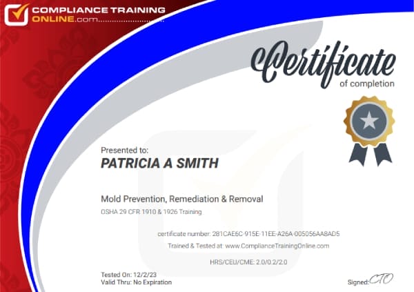 Osha Certified Mold Prevention, Remediation & Removal
